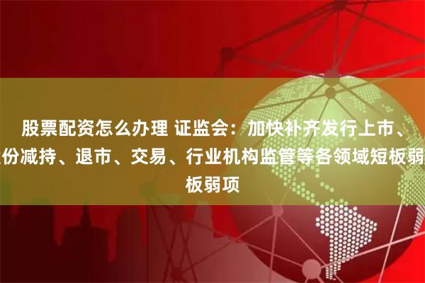 股票配资怎么办理 证监会：加快补齐发行上市、股份减持、退市、交易、行业机构监管等各领域短板弱项