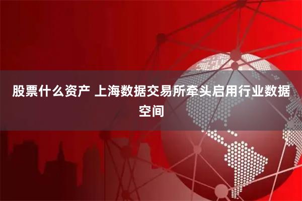 股票什么资产 上海数据交易所牵头启用行业数据空间