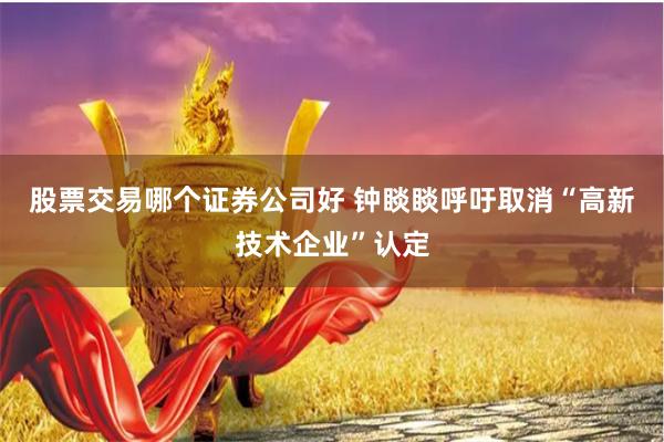 股票交易哪个证券公司好 钟睒睒呼吁取消“高新技术企业”认定