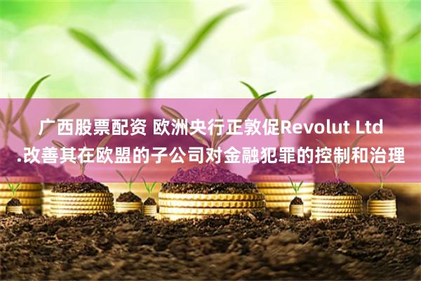 广西股票配资 欧洲央行正敦促Revolut Ltd.改善其在欧盟的子公司对金融犯罪的控制和治理